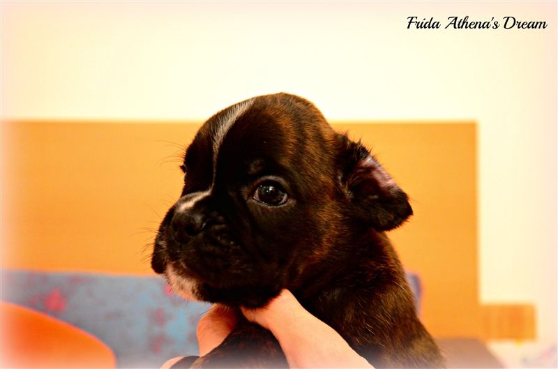 5 weeks